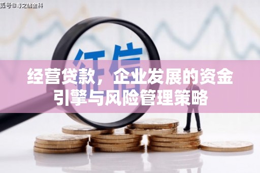 普兰店经营贷款，企业发展的资金引擎与风险管理策略
