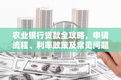 普兰店农业银行贷款全攻略，申请流程、利率政策及常见问题解析