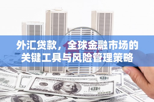 普兰店外汇贷款，全球金融市场的关键工具与风险管理策略