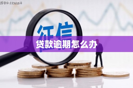 普兰店贷款逾期怎么办