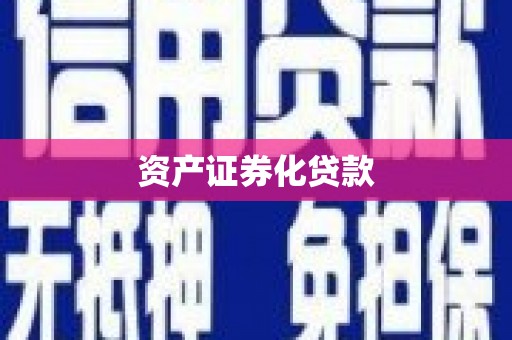 普兰店资产证券化贷款