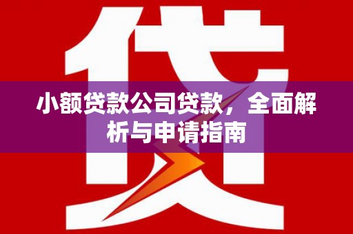 普兰店小额贷款公司贷款，全面解析与申请指南