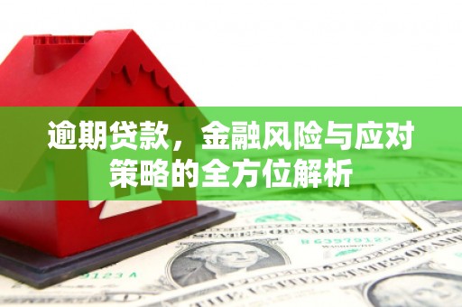普兰店逾期贷款，金融风险与应对策略的全方位解析