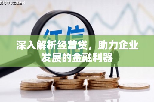 普兰店深入解析经营贷，助力企业发展的金融利器