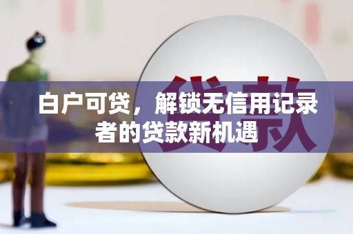 普兰店白户可贷，解锁无信用记录者的贷款新机遇
