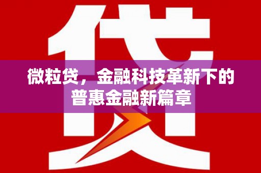 普兰店微粒贷，金融科技革新下的普惠金融新篇章