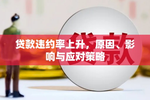 普兰店贷款违约率上升，原因、影响与应对策略