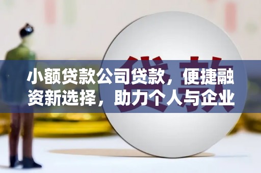 普兰店小额贷款公司贷款，便捷融资新选择，助力个人与企业成长