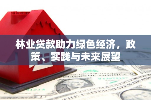 普兰店林业贷款助力绿色经济，政策、实践与未来展望