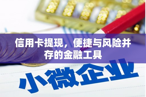 普兰店信用卡提现，便捷与风险并存的金融工具