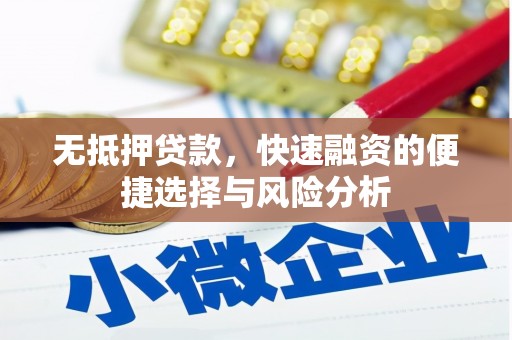 普兰店无抵押贷款，快速融资的便捷选择与风险分析