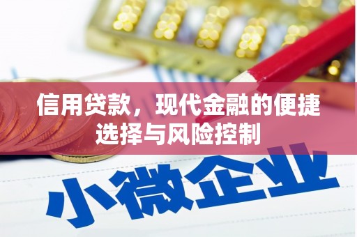 普兰店信用贷款，现代金融的便捷选择与风险控制