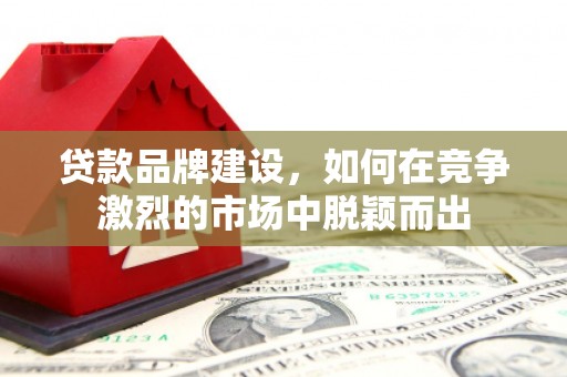 普兰店贷款品牌建设，如何在竞争激烈的市场中脱颖而出