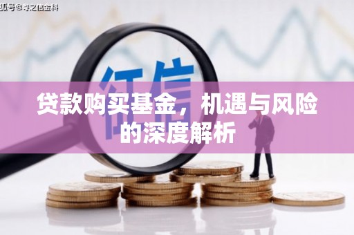 普兰店贷款购买基金，机遇与风险的深度解析