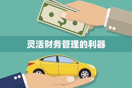 普兰店灵活财务管理的利器