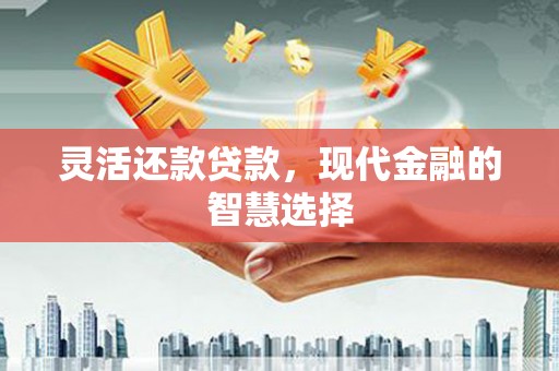 普兰店灵活还款贷款，现代金融的智慧选择