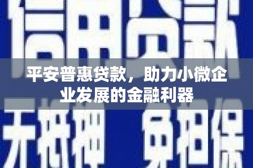 普兰店平安普惠贷款，助力小微企业发展的金融利器