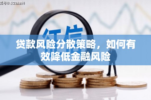 普兰店贷款风险分散策略，如何有效降低金融风险