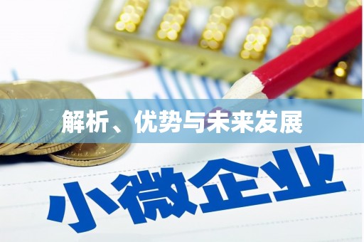 普兰店解析、优势与未来发展