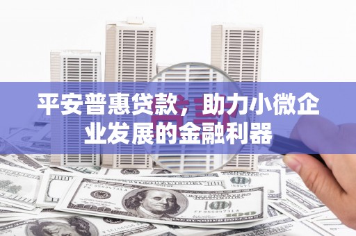 普兰店平安普惠贷款，助力小微企业发展的金融利器