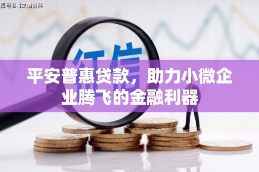普兰店平安普惠贷款，助力小微企业腾飞的金融利器