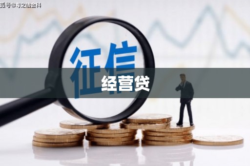 普兰店经营贷