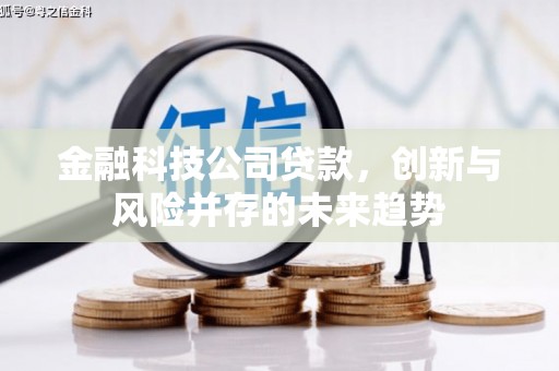 普兰店金融科技公司贷款，创新与风险并存的未来趋势