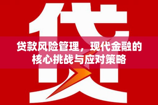 普兰店贷款风险管理，现代金融的核心挑战与应对策略