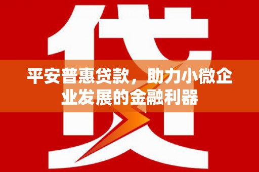 普兰店平安普惠贷款，助力小微企业发展的金融利器