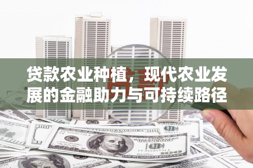 普兰店贷款农业种植，现代农业发展的金融助力与可持续路径