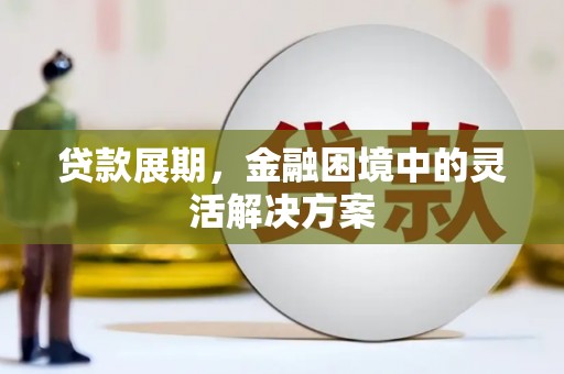 普兰店贷款展期，金融困境中的灵活解决方案