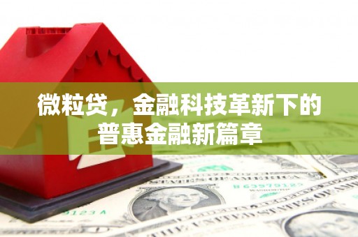 普兰店微粒贷，金融科技革新下的普惠金融新篇章