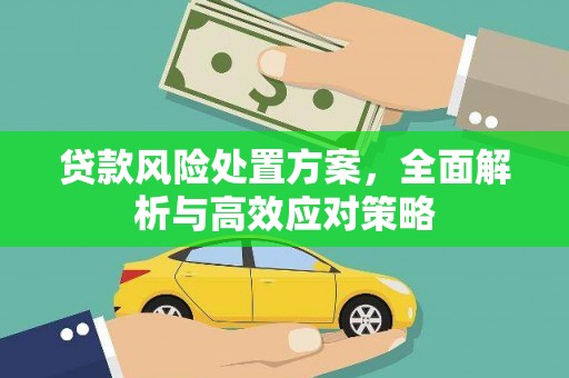 普兰店贷款风险处置方案，全面解析与高效应对策略