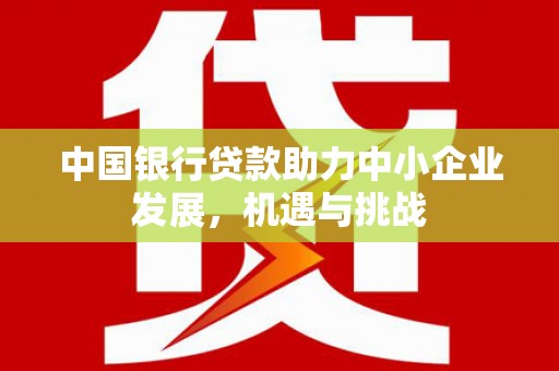 普兰店中国银行贷款助力中小企业发展，机遇与挑战
