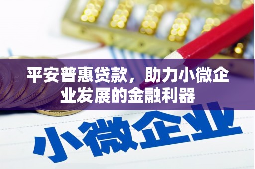 普兰店平安普惠贷款，助力小微企业发展的金融利器