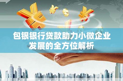 普兰店包银银行贷款助力小微企业发展的全方位解析