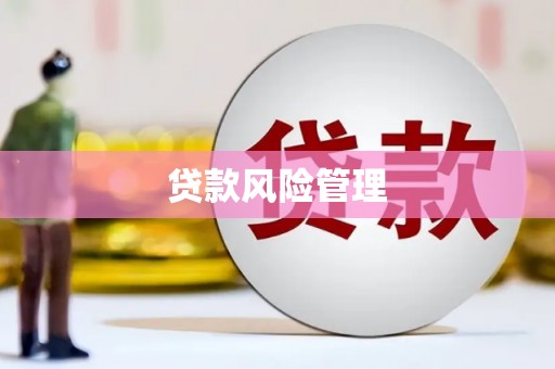 普兰店贷款风险管理