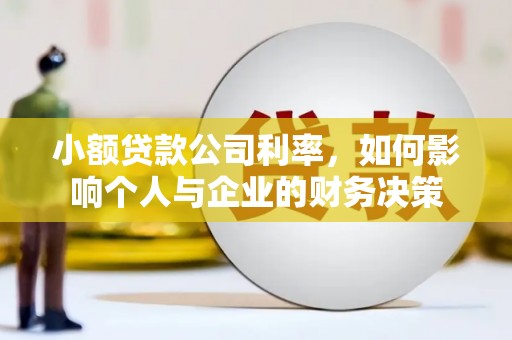普兰店小额贷款公司利率，如何影响个人与企业的财务决策