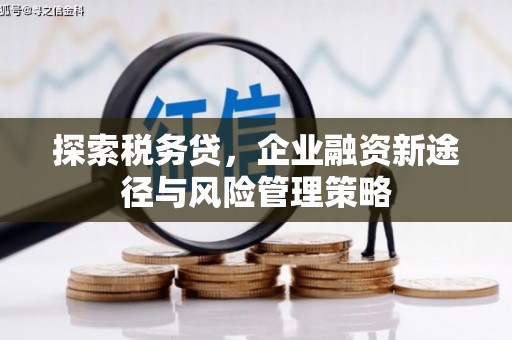 普兰店探索税务贷，企业融资新途径与风险管理策略
