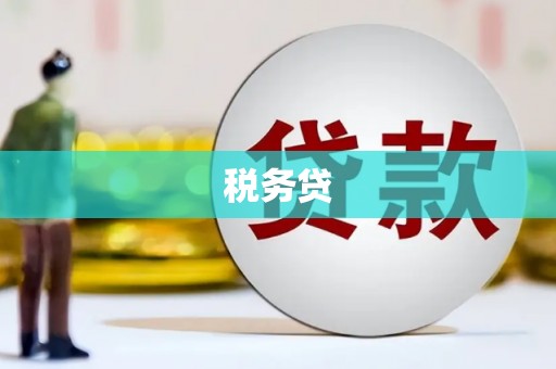 普兰店税务贷
