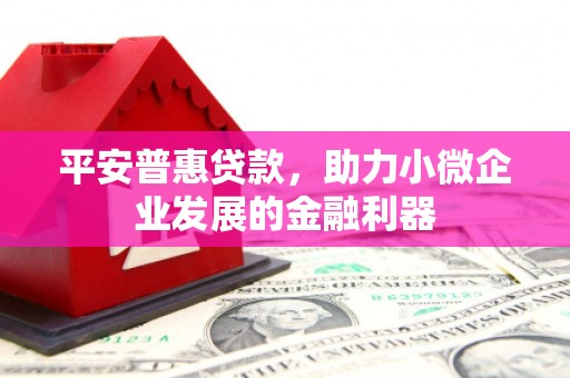 普兰店平安普惠贷款，助力小微企业发展的金融利器