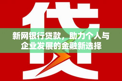 普兰店新网银行贷款，助力个人与企业发展的金融新选择