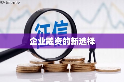 普兰店企业融资的新选择