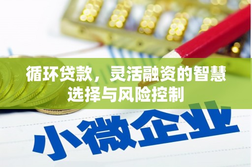 普兰店循环贷款，灵活融资的智慧选择与风险控制