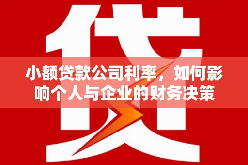 普兰店小额贷款公司利率，如何影响个人与企业的财务决策