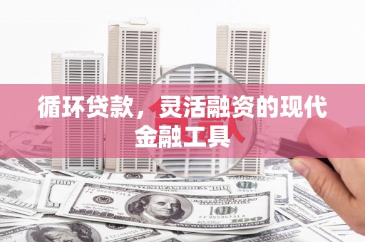 普兰店循环贷款，灵活融资的现代金融工具