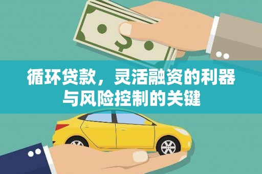 普兰店循环贷款，灵活融资的利器与风险控制的关键