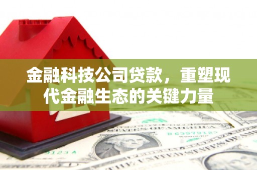 普兰店金融科技公司贷款，重塑现代金融生态的关键力量