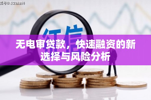普兰店无电审贷款，快速融资的新选择与风险分析