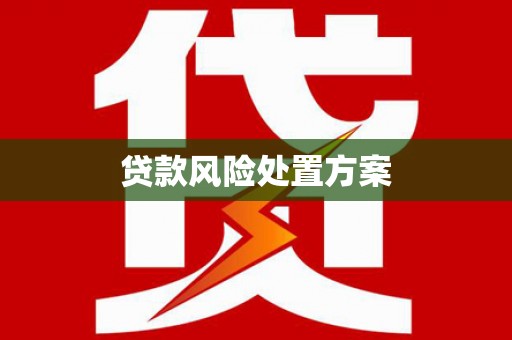普兰店贷款风险处置方案